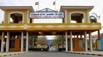 أرباح مليارية.. 10 شركات بقطاع الأعمال المصري تحقق قفزة نوعية في مؤشر الأداء